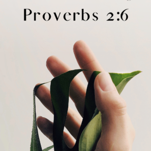 for the lord gives wisdom