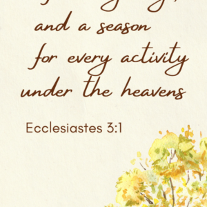 Lord you have searched me