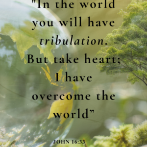ask and it will be given- Tag