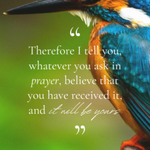 your word is lamp for my feet - Tag
