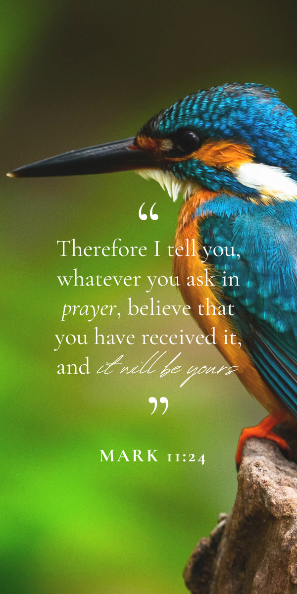 your word is lamp for my feet - Tag